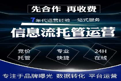 电商行业SEM运营的挑战与成功案例